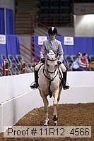 11r12_4566 proof