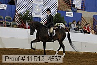11r12_4567 proof