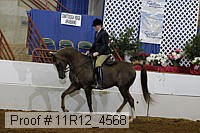 11r12_4568 proof