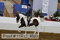 11r12_4569 proof