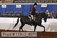 11r12_4571 proof