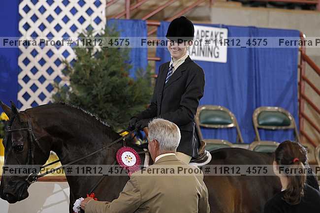 Proof 11r12_4575