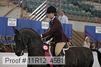 11r12_4581 proof