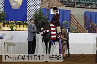 11r12_4588 proof