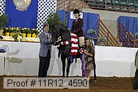 11r12_4590 proof