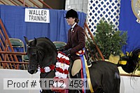 11r12_4591 proof