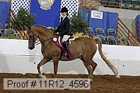 11r12_4596 proof