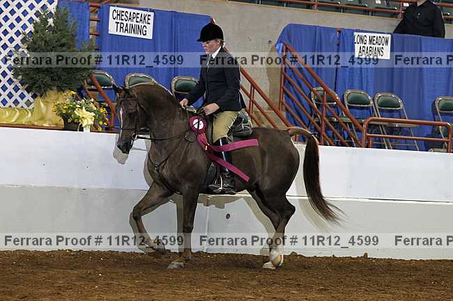 Proof 11r12_4599