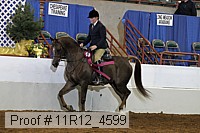 11r12_4599 proof