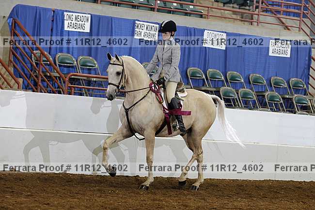 Proof 11r12_4602