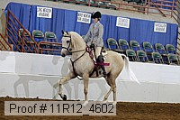 11r12_4602 proof