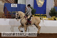 11r12_4605 proof