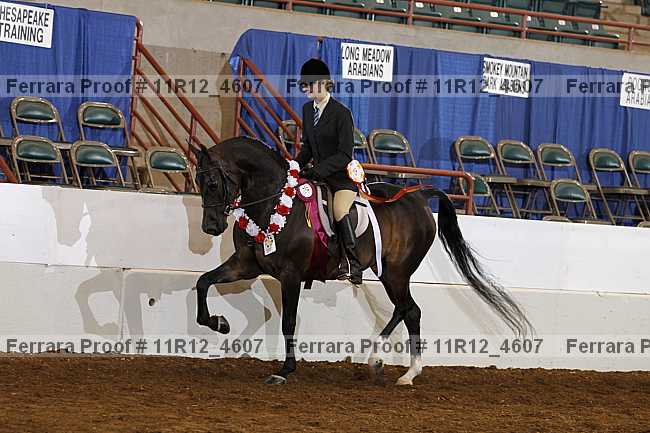 Proof 11r12_4607