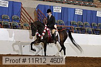 11r12_4607 proof