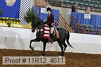 11r12_4611 proof