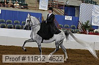 11r12_4622 proof