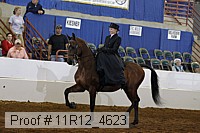 11r12_4623 proof