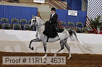 11r12_4631 proof