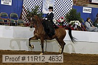 11r12_4632 proof