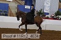11r12_4634 proof