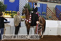 11r12_4638 proof