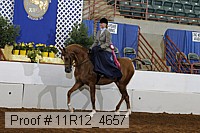 11r12_4657 proof