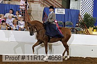 11r12_4658 proof