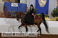 11r12_4662 proof