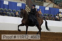11r12_4663 proof