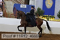 11r12_4666 proof