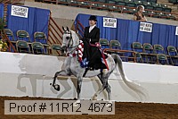 11r12_4673 proof