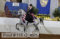 11r12_4675 proof