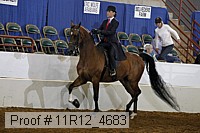 11r12_4683 proof