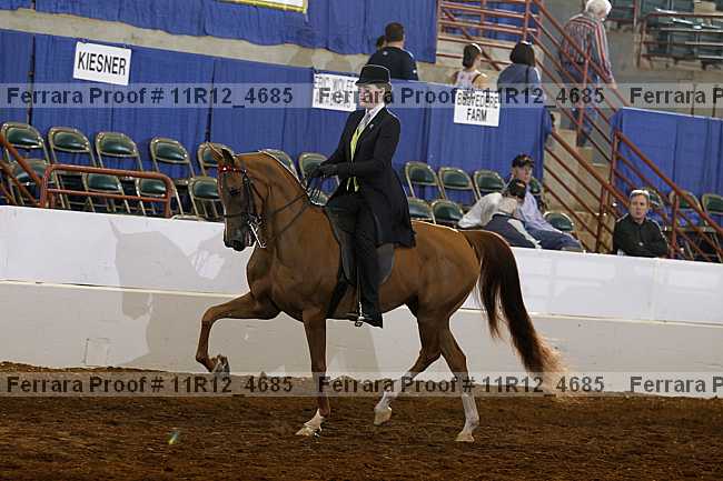 Proof 11r12_4685