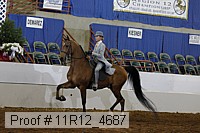 11r12_4687 proof