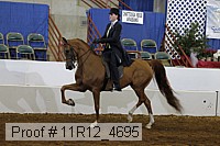 11r12_4695 proof