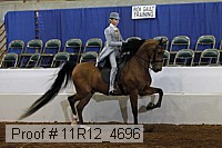 11r12_4696 proof