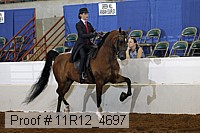 11r12_4697 proof