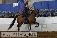 11r12_4698 proof