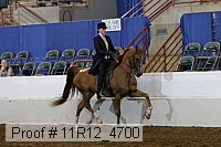 11r12_4700 proof