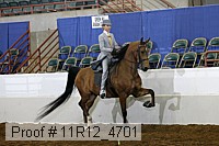 11r12_4701 proof
