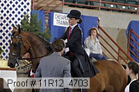 11r12_4703 proof