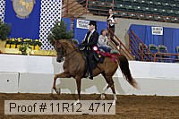 11r12_4717 proof