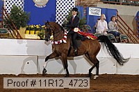 11r12_4723 proof