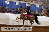 11r12_4729 proof
