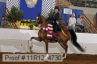 11r12_4730 proof