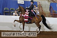 11r12_4732 proof