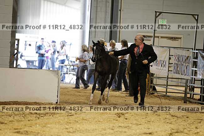 Proof 11r12_4832
