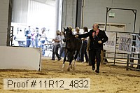 11r12_4832 proof