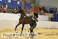 11r12_4844 proof